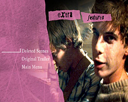 Brothers Of The Head DVD