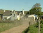 dairy farm on Gigha