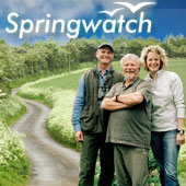 BBC Springwatch