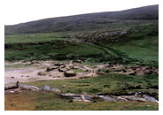Mingulay Village