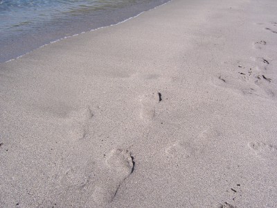 footprints in the sand