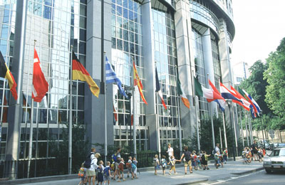 Language and identity