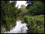 White Cart River
