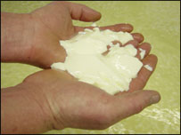 cheese in hands