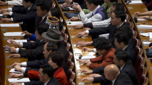 2013年全国人大会议