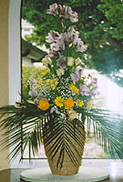 Trfeniant hir mewn ffenestr