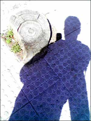 عکس از بهار