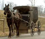 Amish horse and buggy