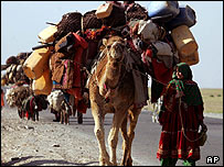 کوچی