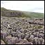 Limestone pavement Photo courtesy of YDNP