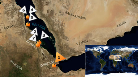 Dive map - Red Sea - Site 1