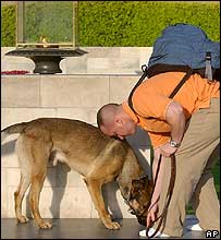 جاسوسی کتے(فائل فوٹو)