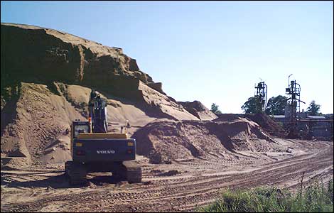 Sand martins nest in this sand heap
