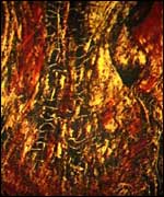 Inner 2 painting by Dominica Vaughan 