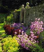 Cerney House Gardens