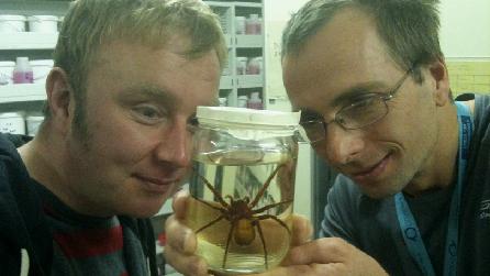 Adam, Julian Carter and a Huntsman Spider from South America