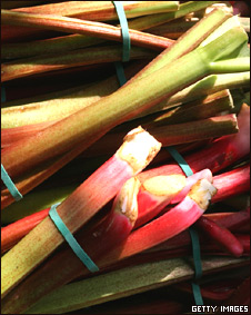 rhubarb226s.jpg
