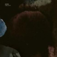 Review of Flower Of Evil Review of Flower Of Evil