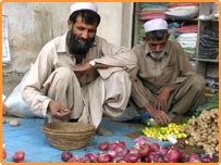 افغان پائلٹ