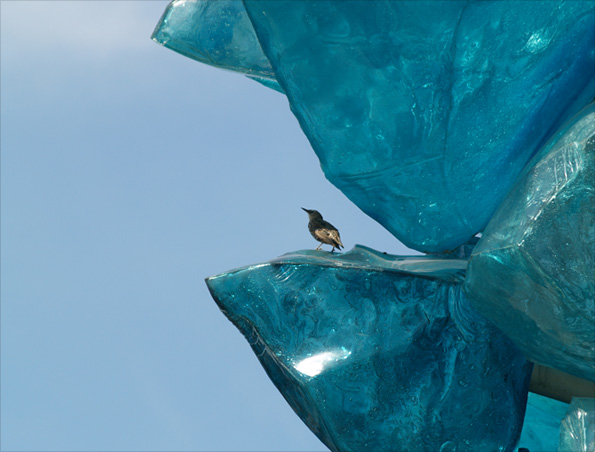 Your pictures of glass