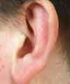 ear