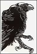 Leonard Baskin's crow drawing