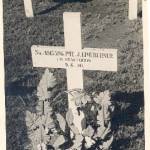 Jack Limeburner's gravesite in Cairo