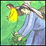 پرده اسرار