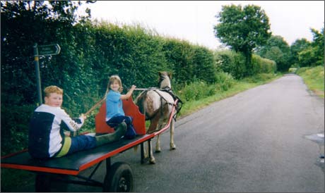 Romany youth have their say