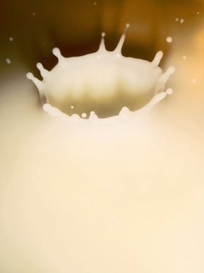 Milk splash