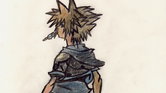 Sora, kingdom...