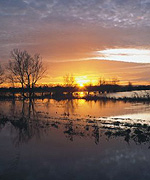 Somerset Levels