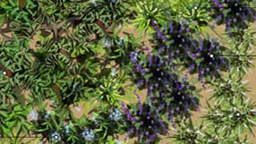 A detail from the takeaway plan