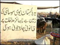 بکرا