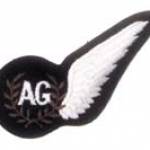 Air Gunner's Brevet