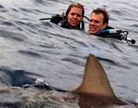 Mae'r cwch wedi mynd