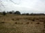 Hogganfield Park before the makeover