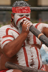 یک نوازنده دوره گرد