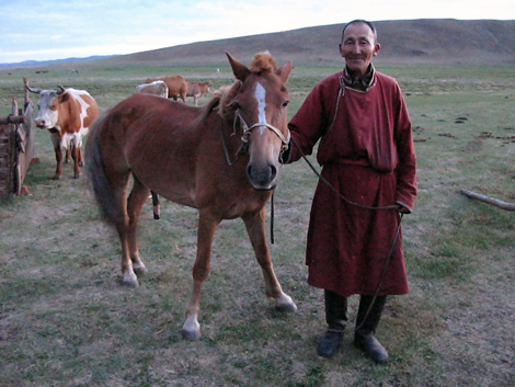 a grandfather with a horse and some cows in a field in Mongolia