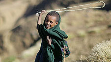 Maza, chwe mlwydd oed, ym mynyddoedd uchel Ethiopia © Timothy Allen
