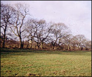 Rawcliffe Meadows
