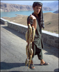 ماهی فروش