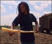 Danovan Knott in Jamaica