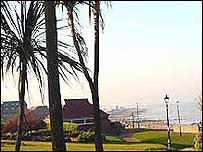 Sunny Hunny by Steve Humphrey