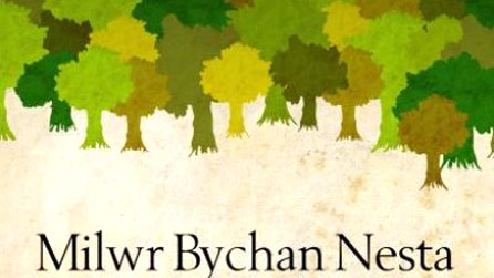 Rhan o glawr Milwr Bychan Nesta