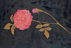 Image: Pink Rose by Jo Self