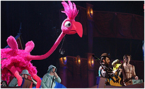 The Scissor Sister's big pink bird