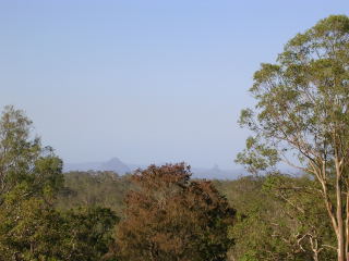 View from the garden - if you look into the distance, you can just see the Glasshouse Mountains