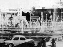 عکس از جواد تهامی