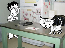 Khalid and Kitty at the vets